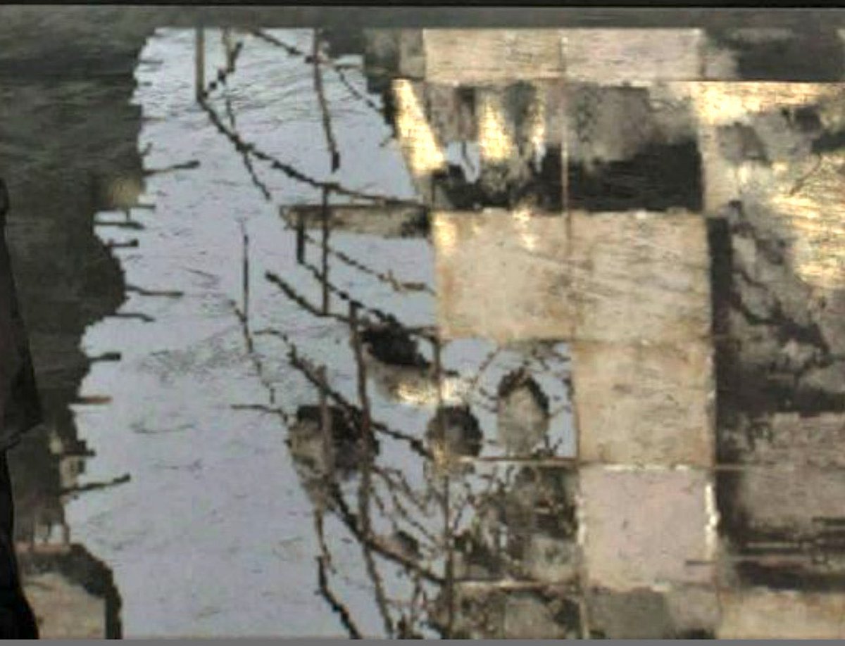 Feral.Nguni tweet media