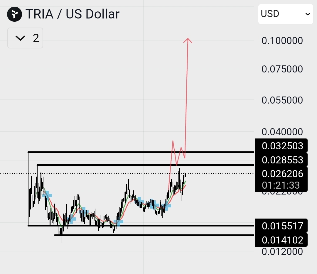 Nick Papagiorgio tweet media