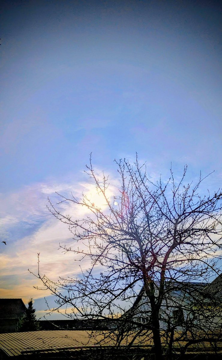 angelicaio81153's tweet image. If you look for the light , you can often find it  . But if you look for the dark , that is all you will ever see . 
Iroh 
The Magical Light 
Phone photography , countryside Romania 
#landscape #photography #early #spring #fotografie