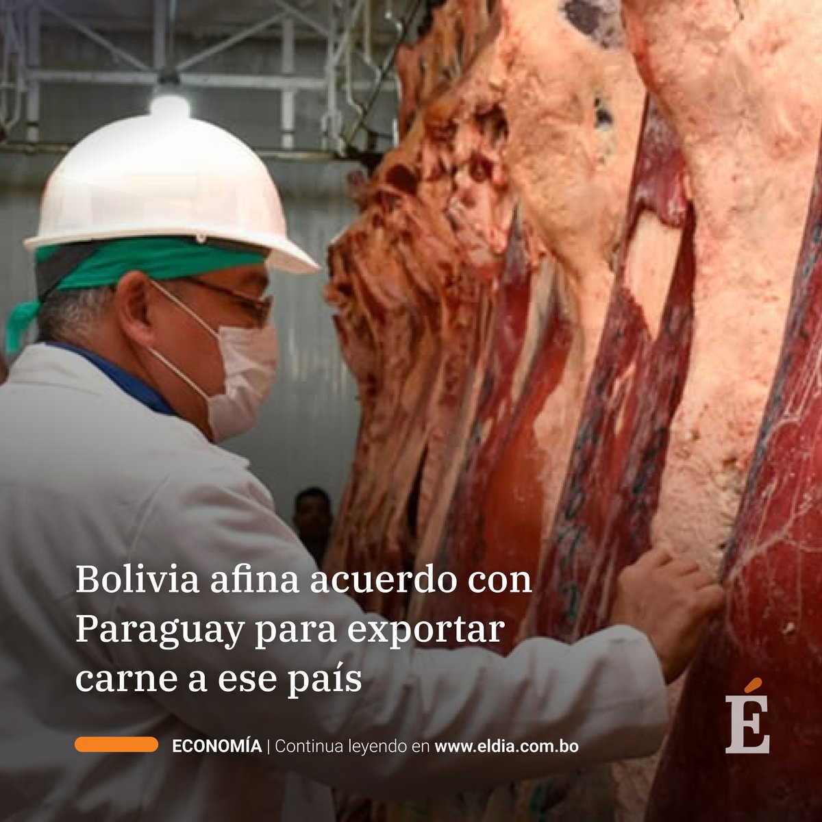 eldiabolivia's tweet photo. El mercado paraguayo se abre como una opción para la carne boliviana
https://t.co/uuVxIN9Nz9

#Senacsa #Exportación #Importación
#ElDíaBolivia https://t.co/gqOGUrf1JN