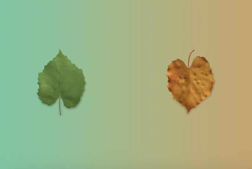 Donna Fluss tweet media