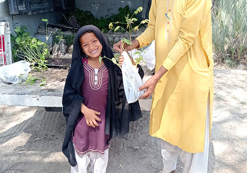 In 2025, Hidaya Foundation planted 15,453 seedlings throughout Shikarpur, Pakistan with help from children in our schools via the One Million Trees project.  Find out more and donate at: hidaya.org/environment/on…