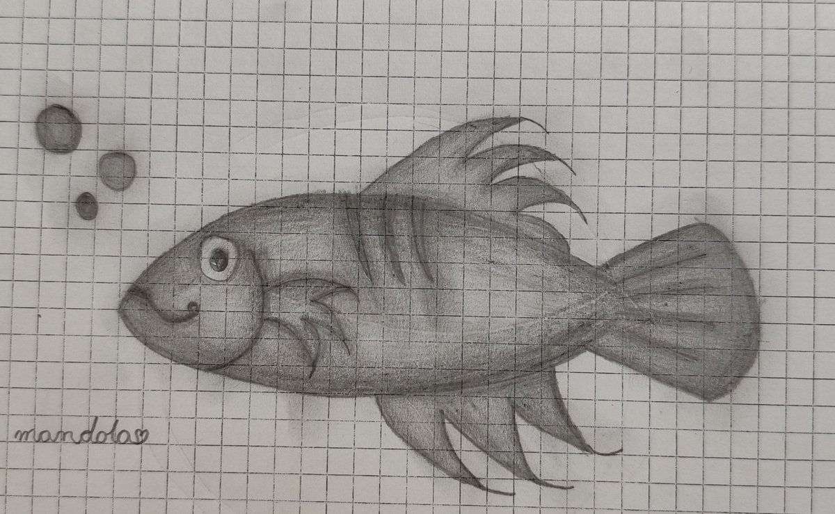 eskimosqa_'s tweet photo. Practising shading 🐟 https://t.co/S3f2dFz8Dy