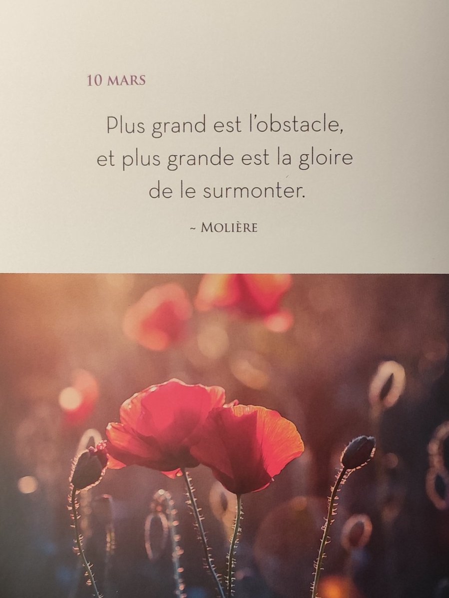 Namasté du soir 🙏