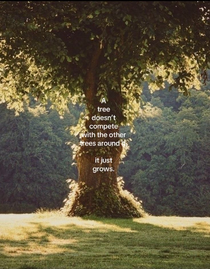 ★ (@thematrixwizard) on Twitter photo 