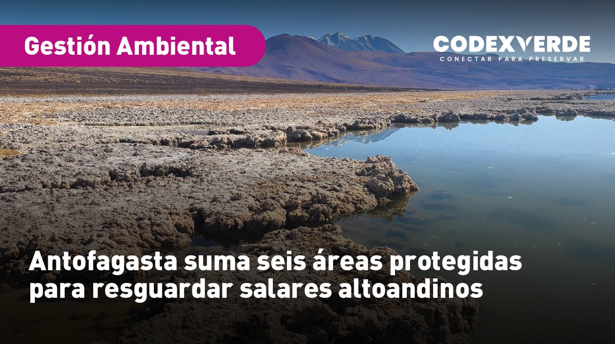 Codexverde tweet media