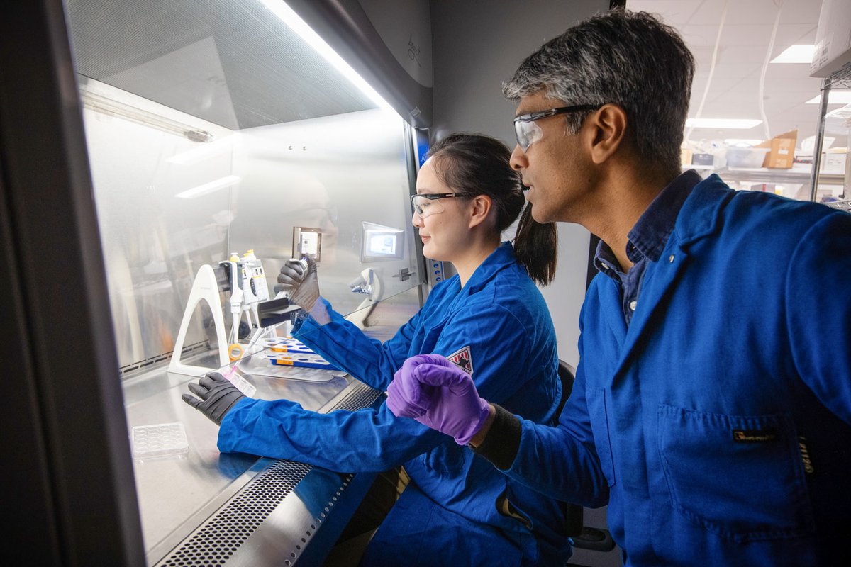 University of Toronto Engineering tweet media