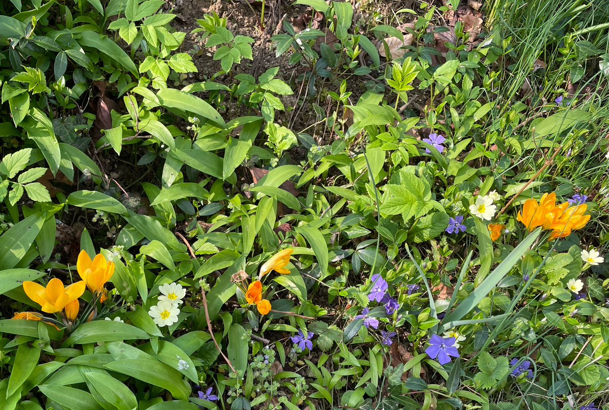 Anna Lucia Montanari tweet media