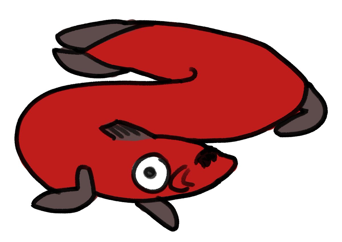 Scribble the Leggy tweet media