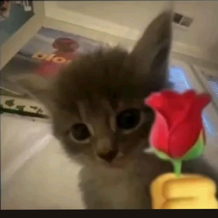 TheMartinez4 tweet media