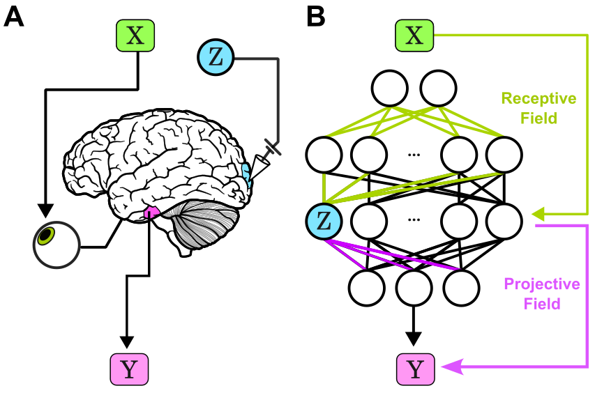 melandrocyte tweet media