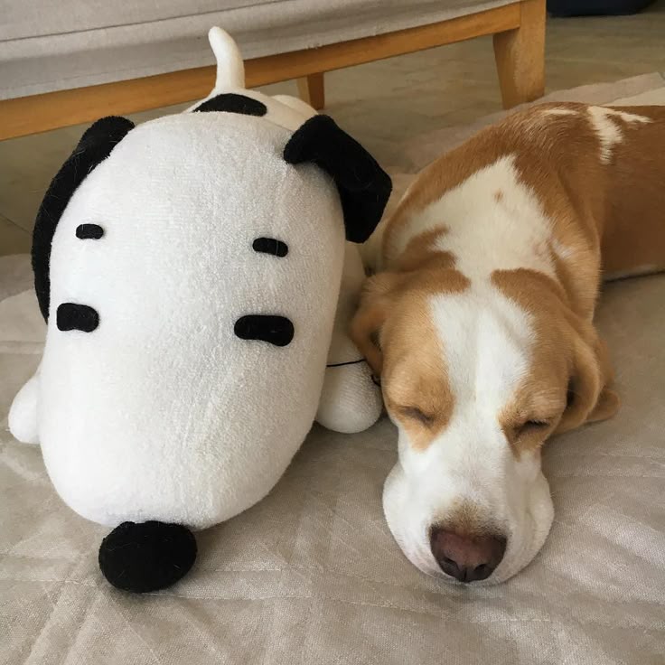 snoopy tweet media