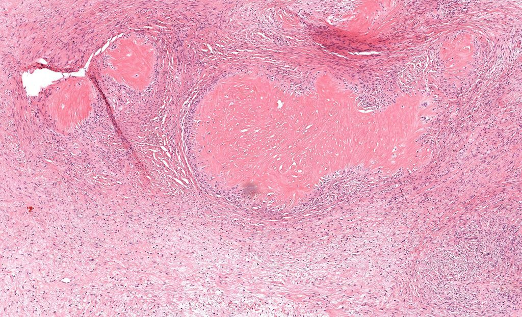 Jerad Gardner, MD tweet media