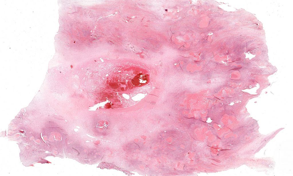 Jerad Gardner, MD tweet media