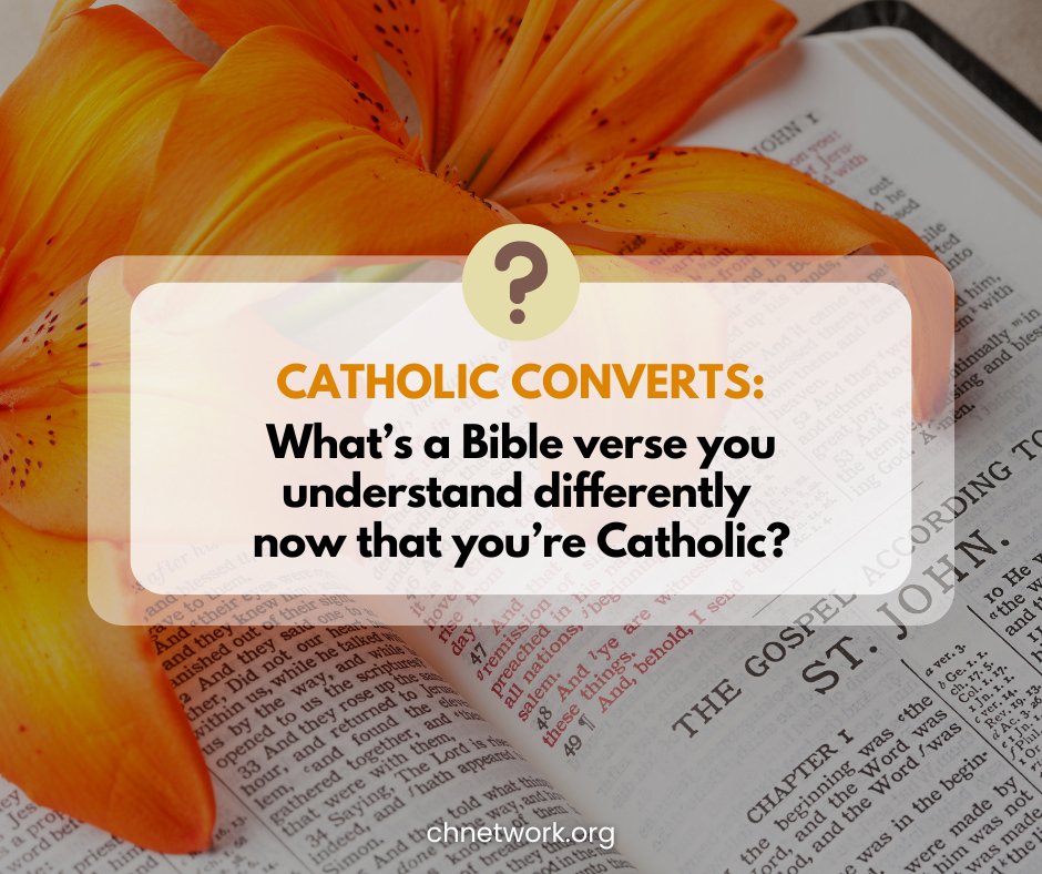 Coming Home Network tweet media