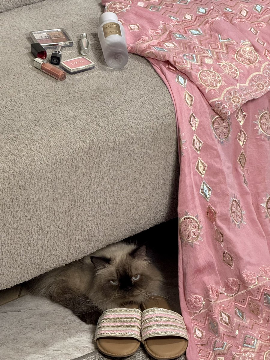 شيرين tweet media