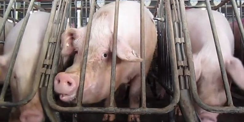 John LeFevre tweet media