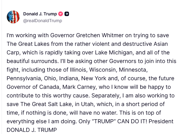 Moose on the Loose tweet media