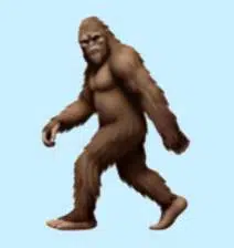 devinatoor tweet media