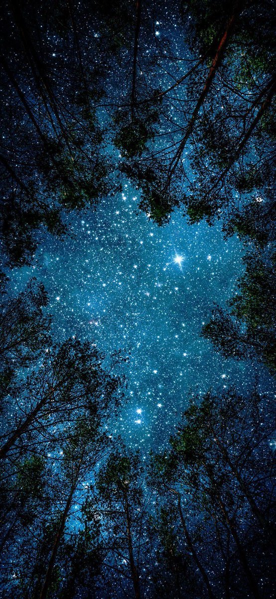 Night Sky Today tweet media