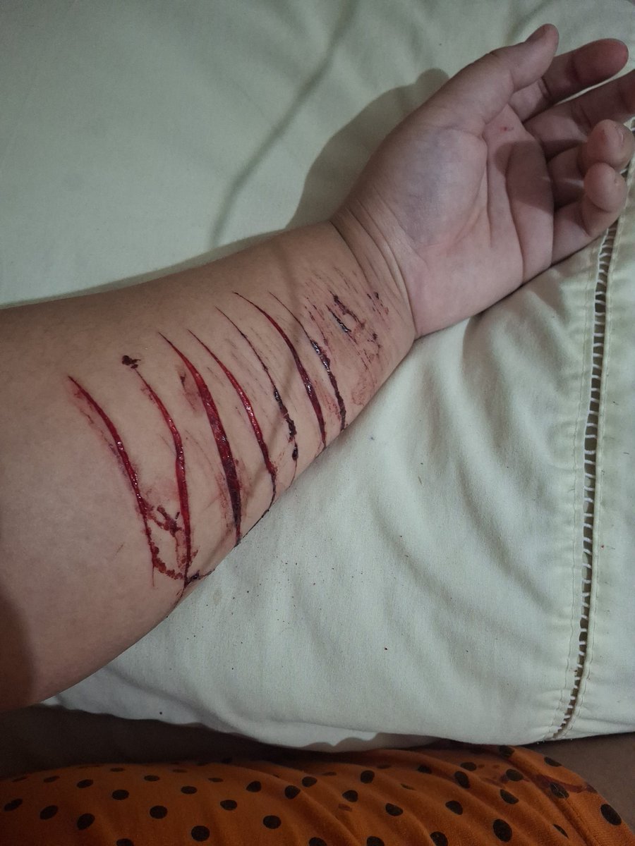 Sally .ᐟ ₊˚⊹ᰔ tweet media