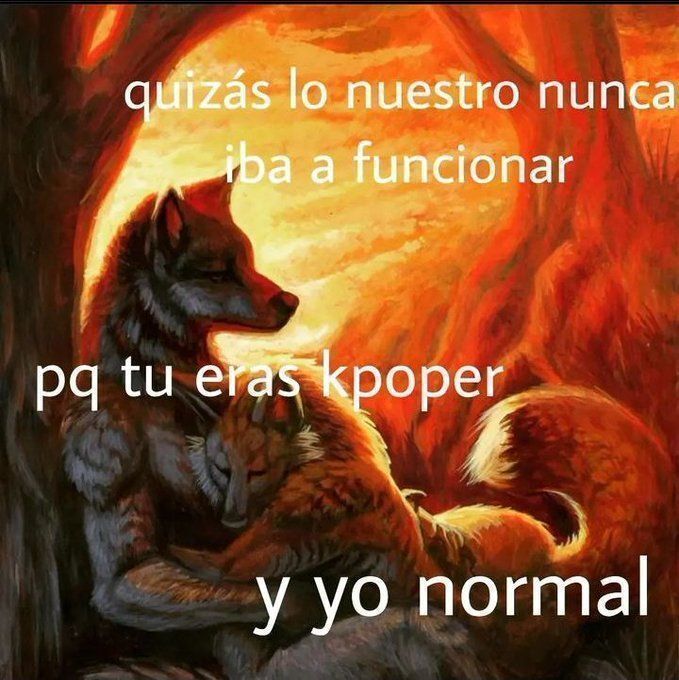 chincheto pirata somali (@wikipistacho) on Twitter photo 