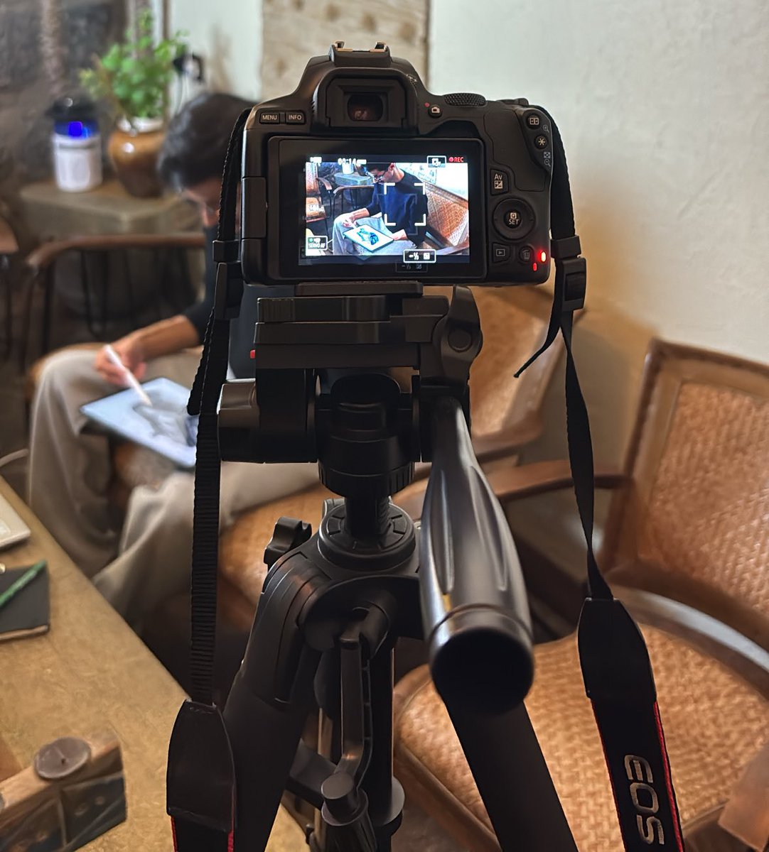 صبا كردي | Seba Kurdi tweet media