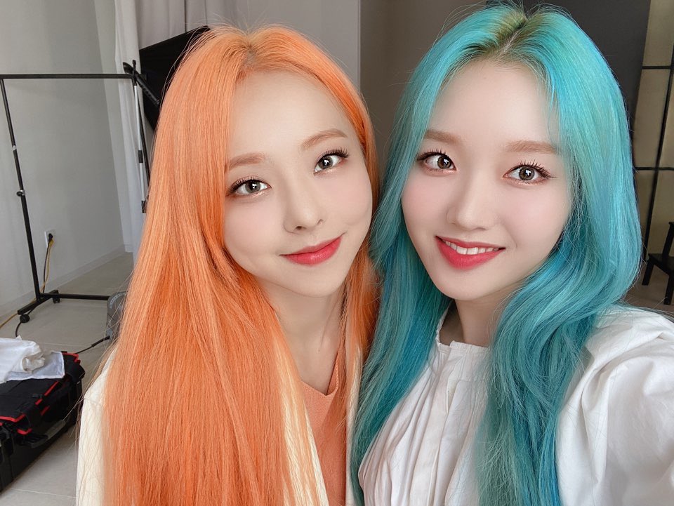 🐷 (@comradeazula) on Twitter photo 