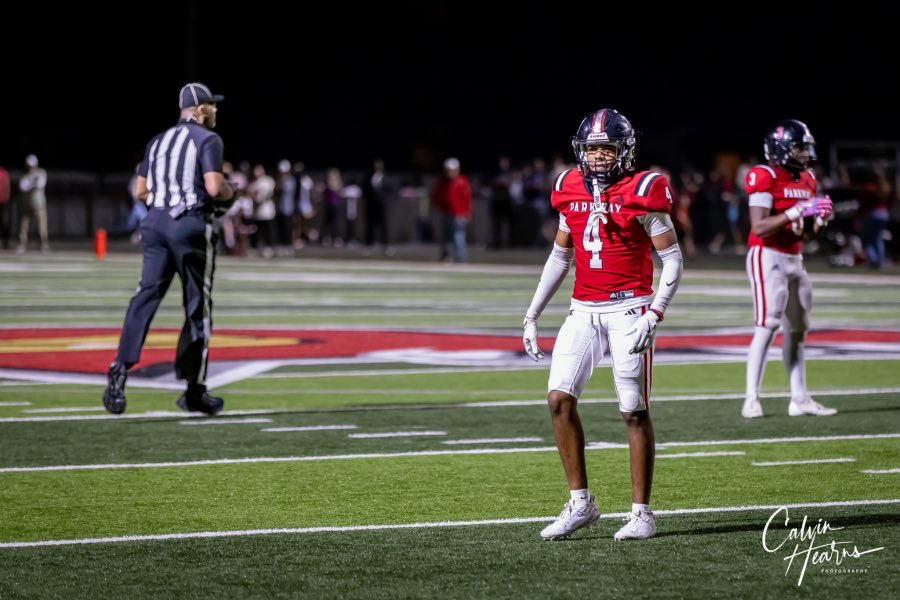 Peyton Rayner tweet media