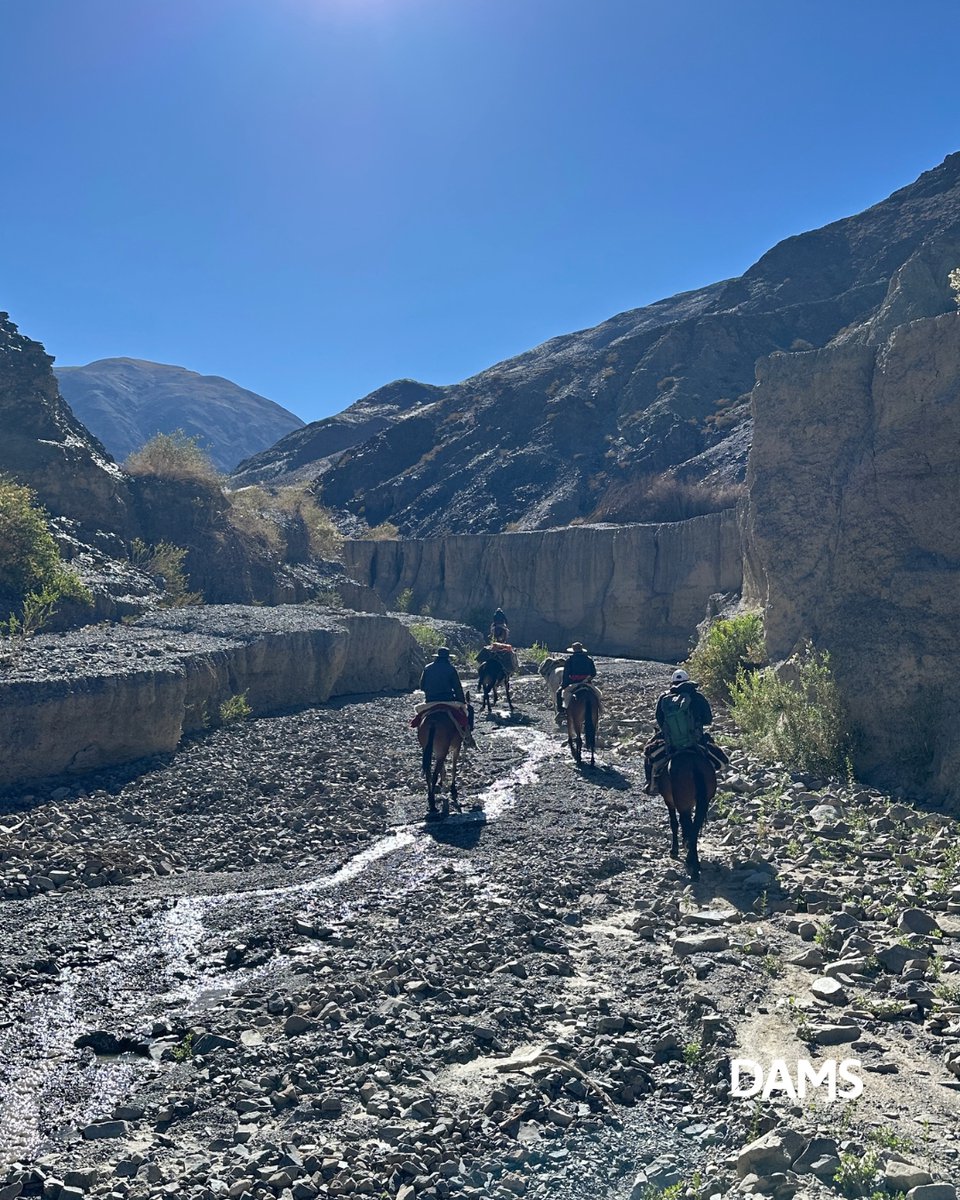 DAMS Ingeniería tweet media