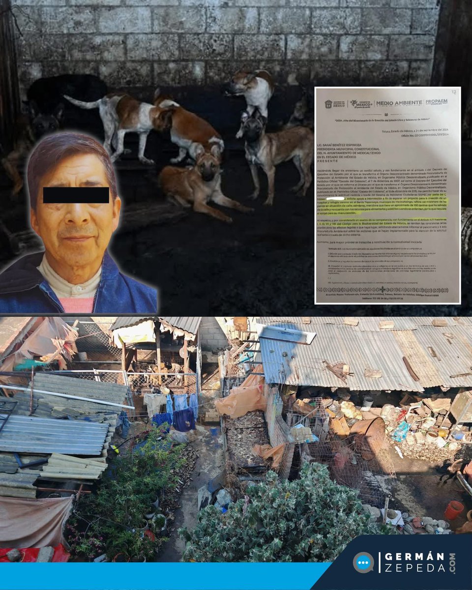 Germán Zepeda tweet media