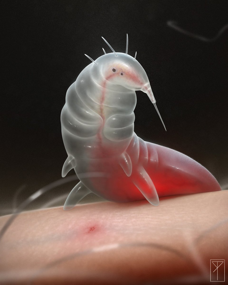 Roberto Ribeiro Padula tweet media