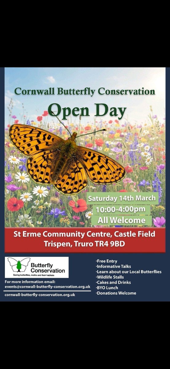Cornwall Butterfly Conservation tweet media