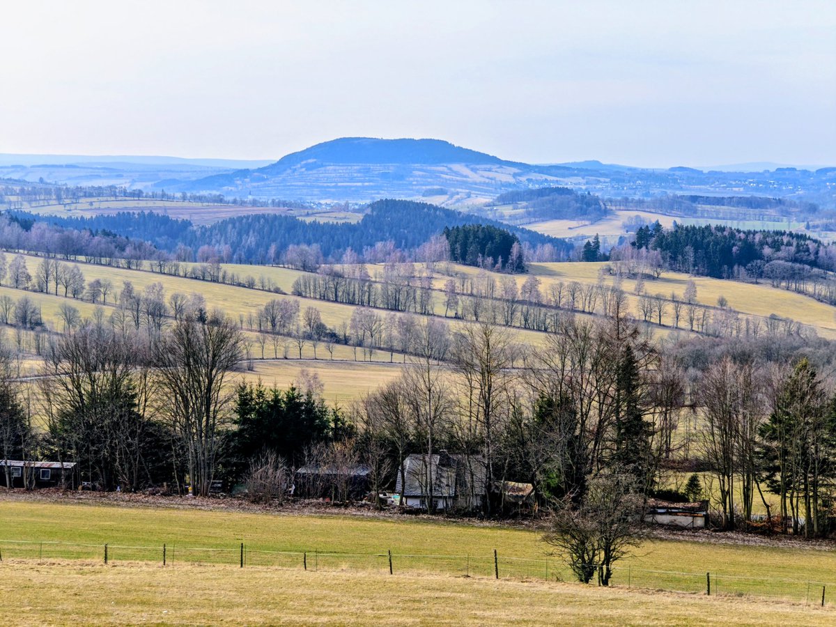 Rico Oelmann tweet media