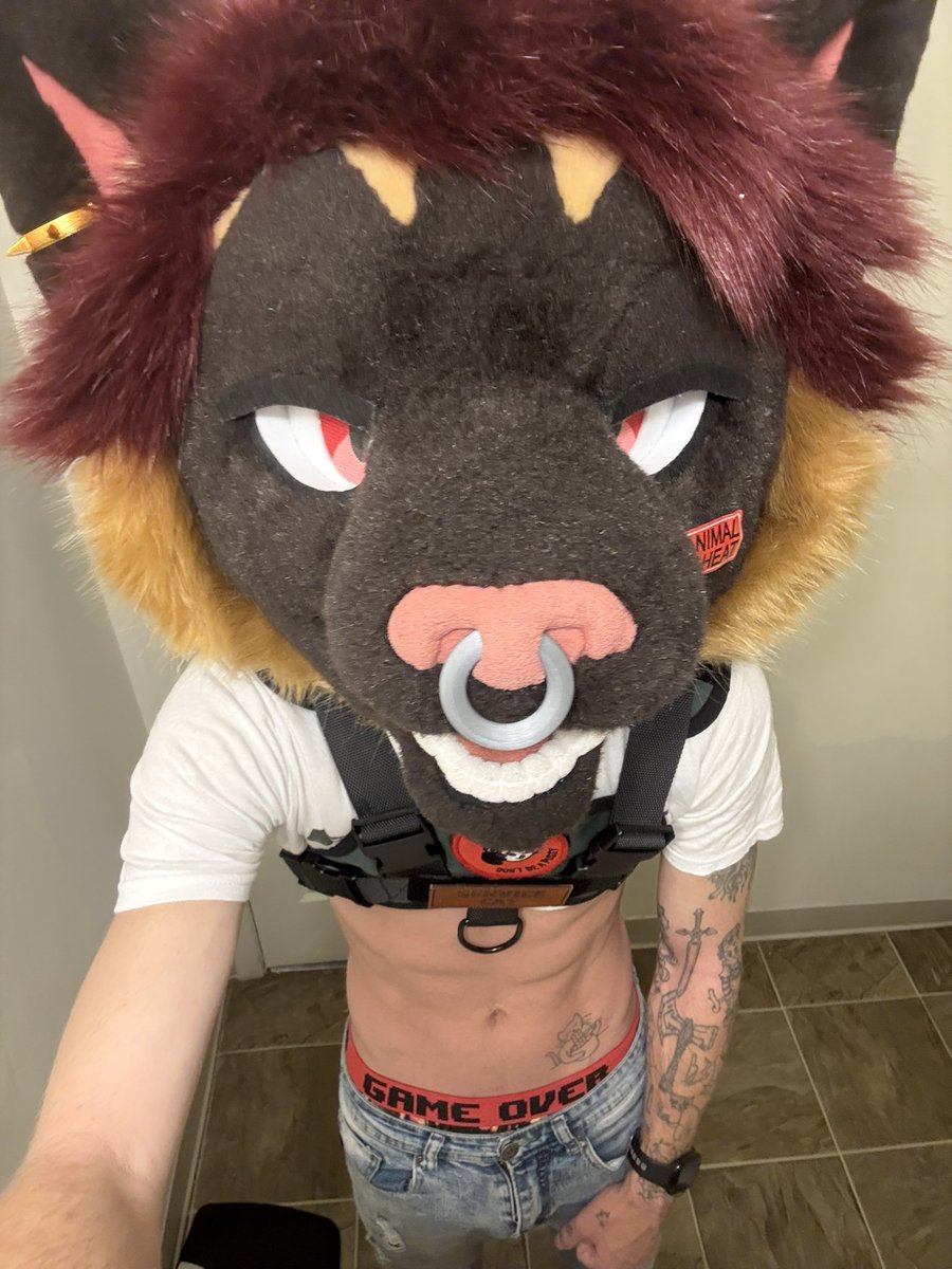 Sasha кошка tweet media