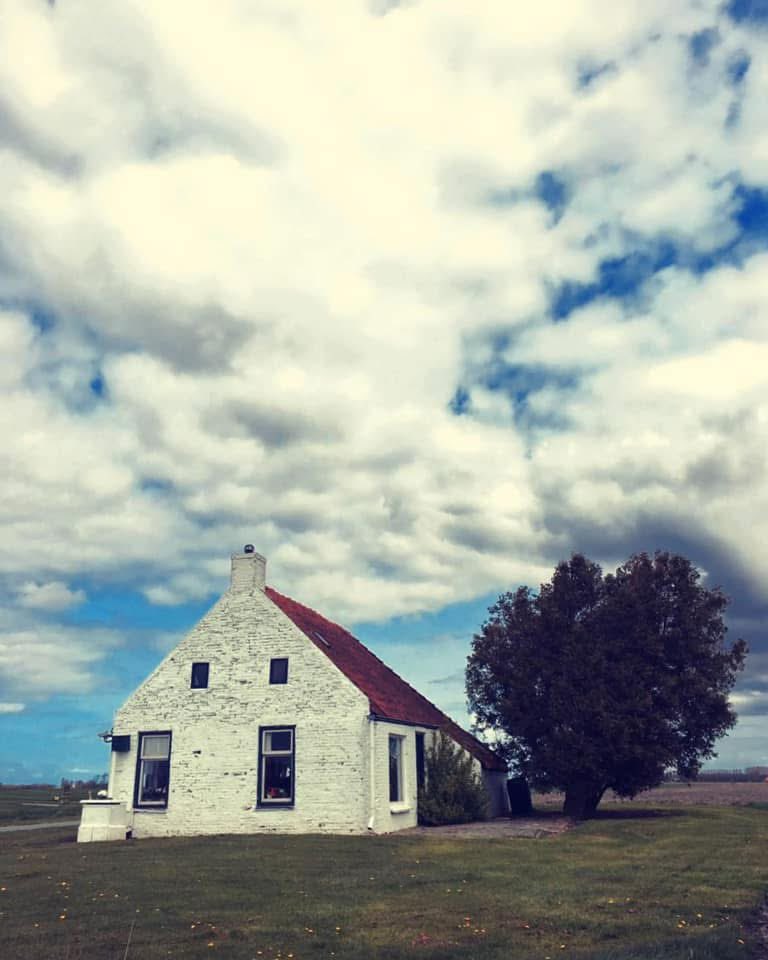 Mooigrunnen® tweet media