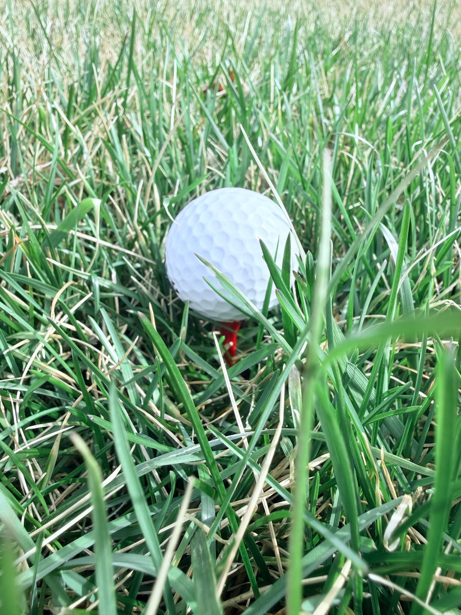 Millard Public Schools Foundation tweet media