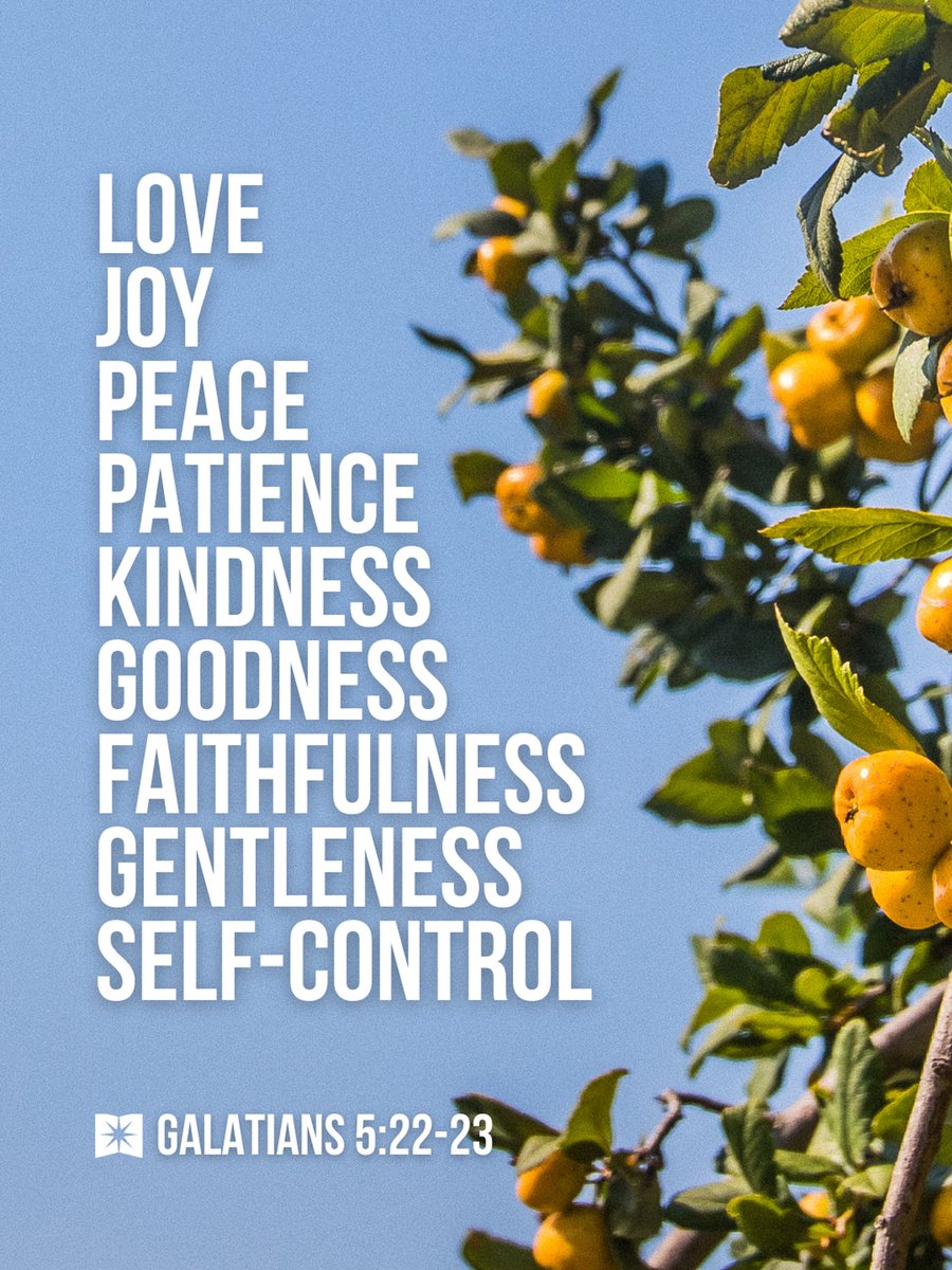 AnarchoChristian tweet media