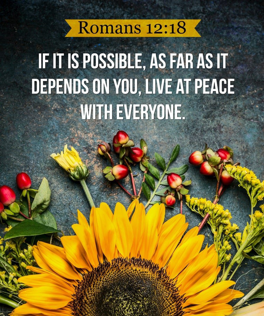 AnarchoChristian tweet media