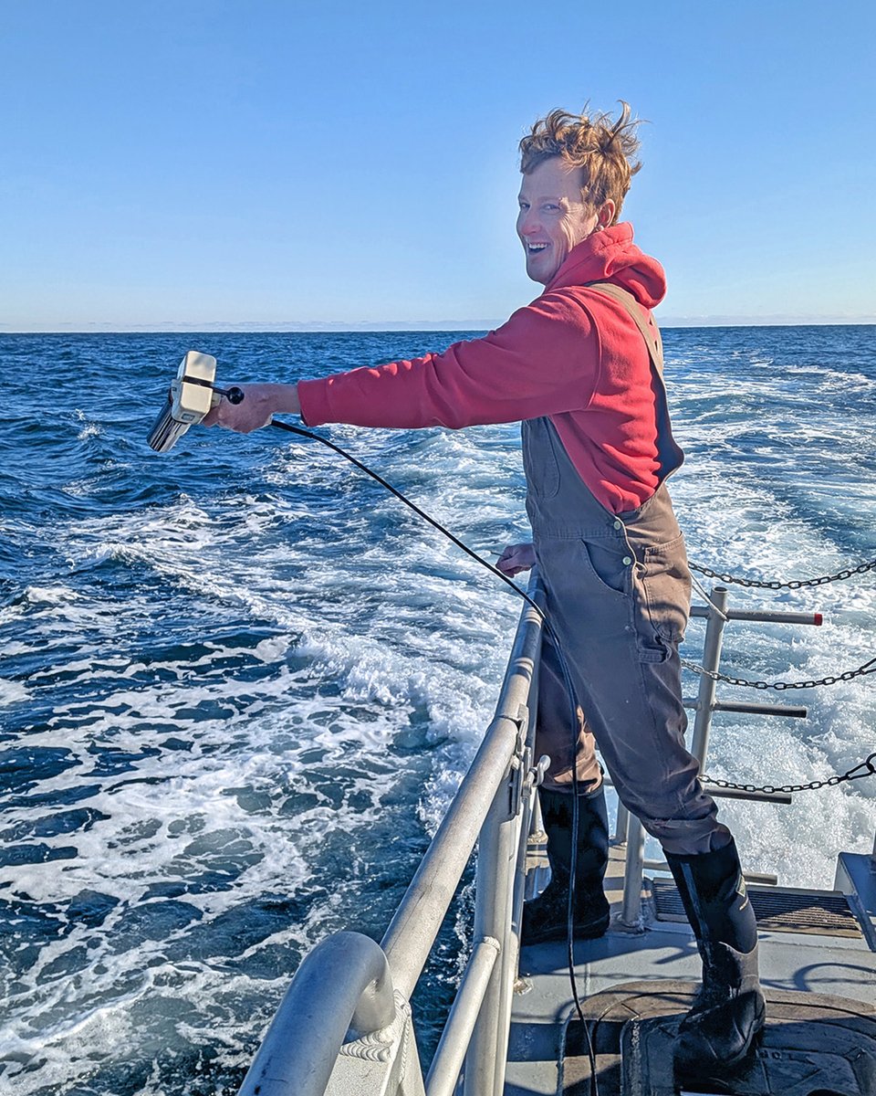 Bigelow Laboratory tweet media