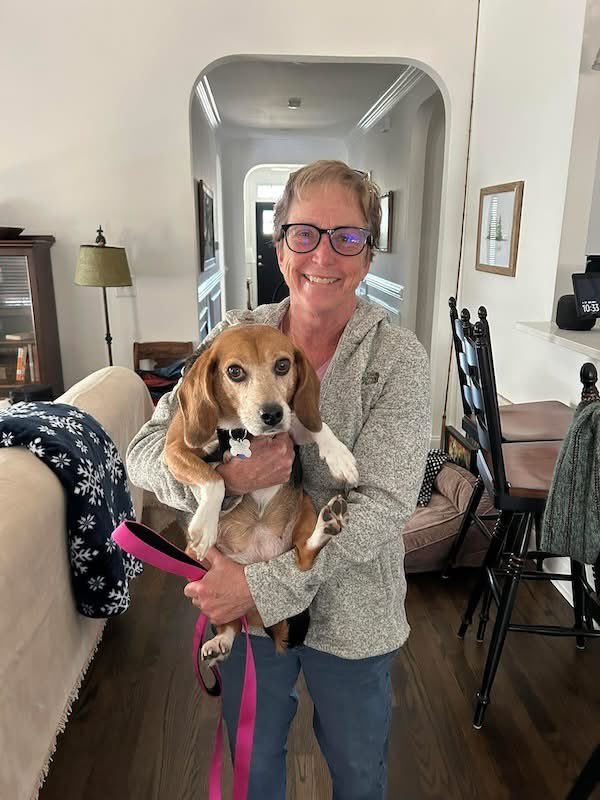 TriBeagles tweet media