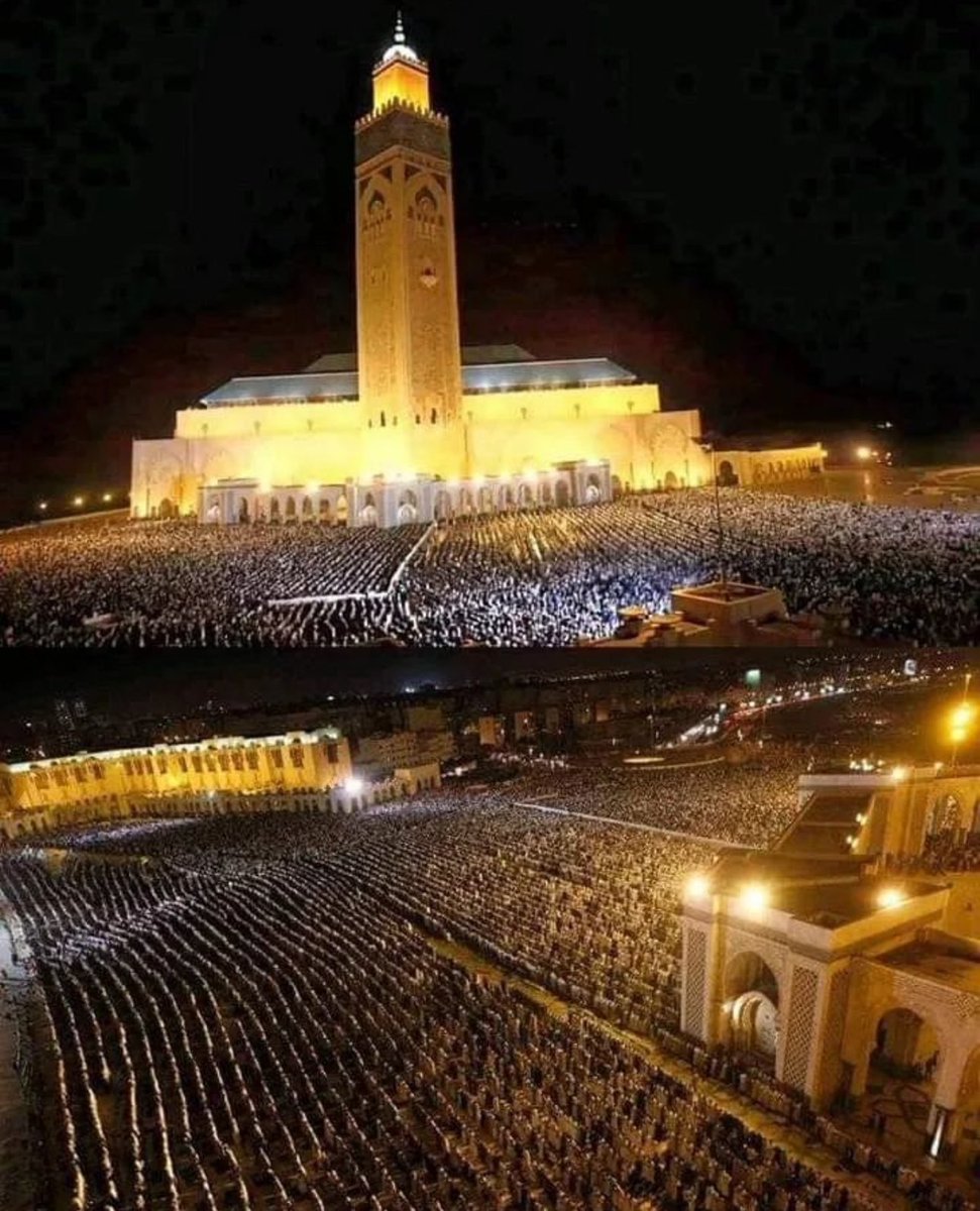 TFT MOROCCO tweet media