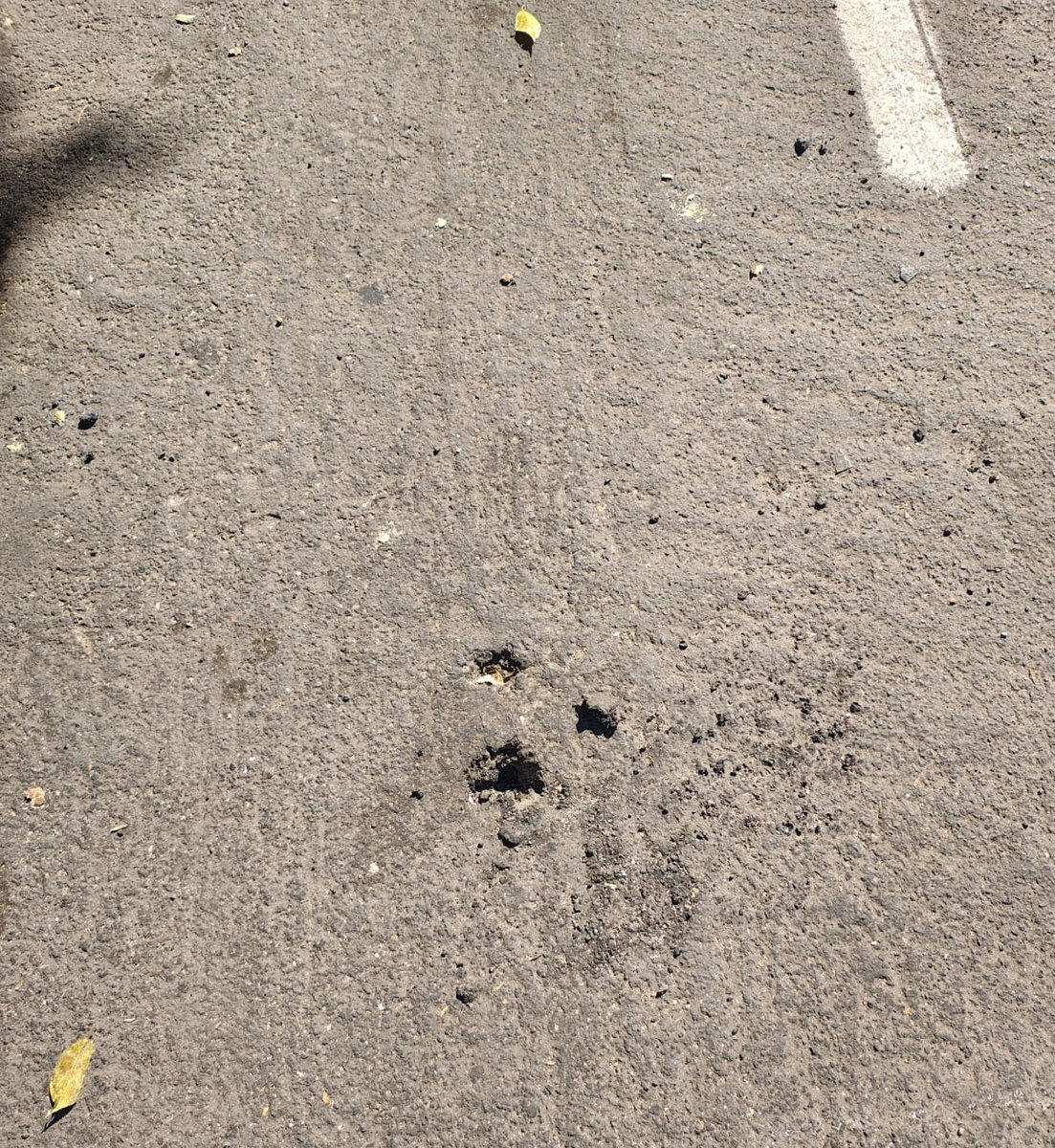 Reportes_Zapopan_Norte tweet media