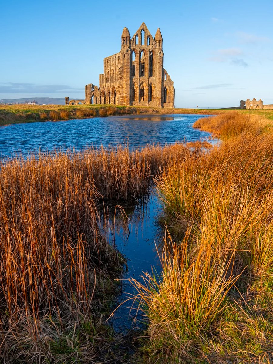 North Yorkshire tweet media