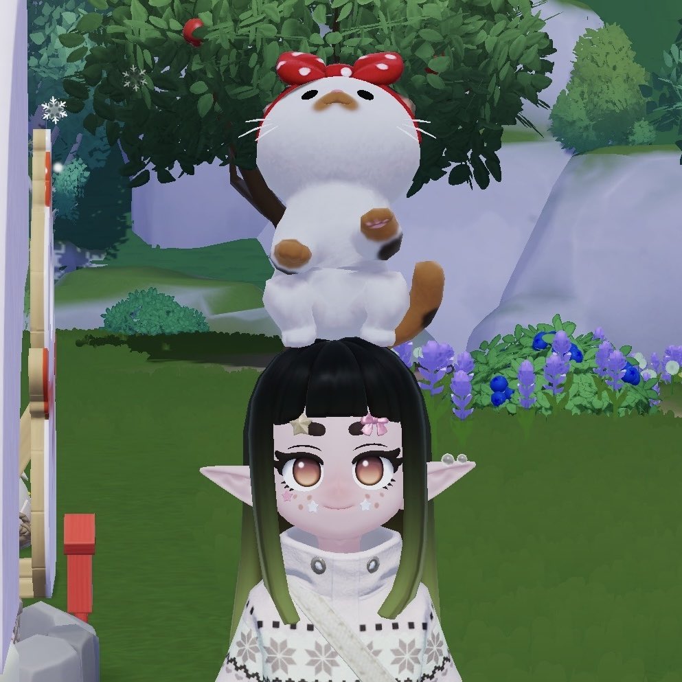 Minty 🌰 tweet media