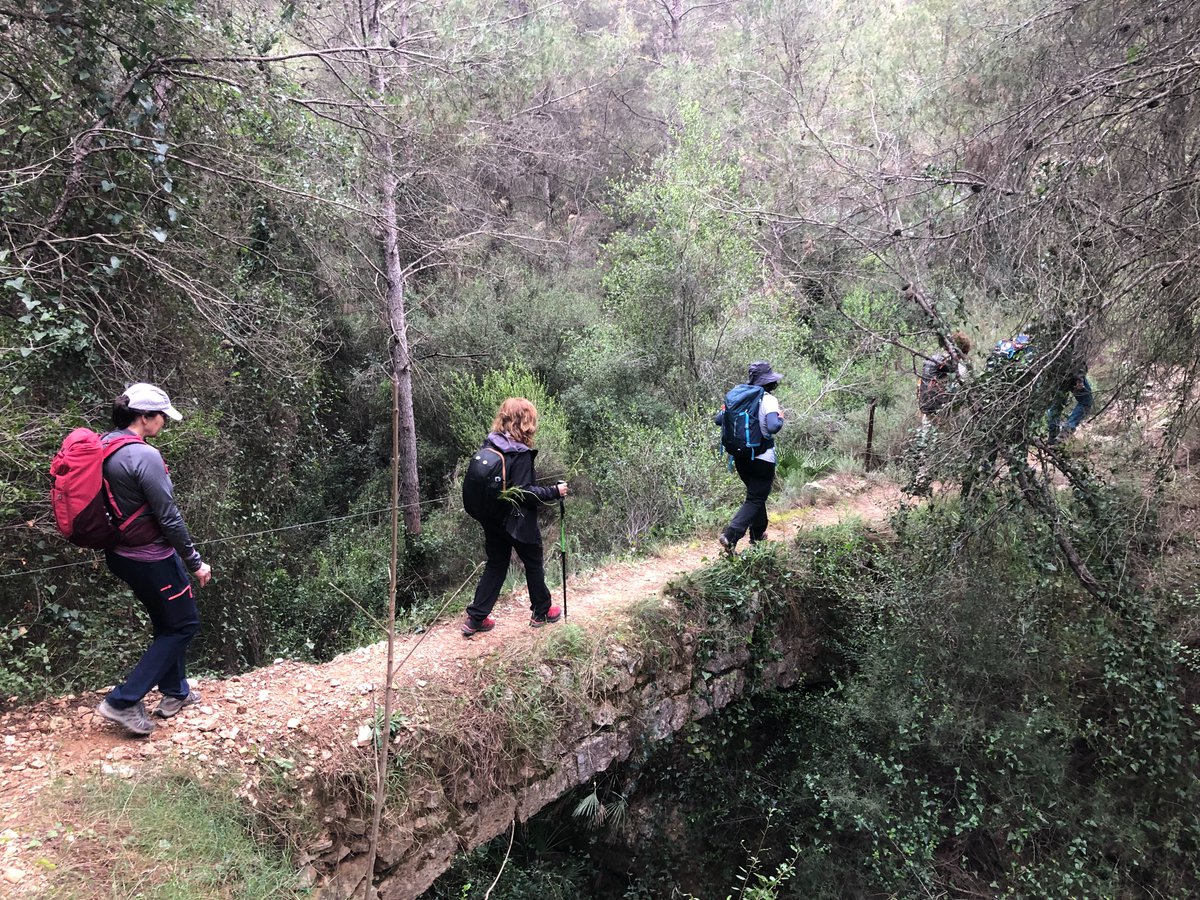 Club Senderismo de Valencia tweet media