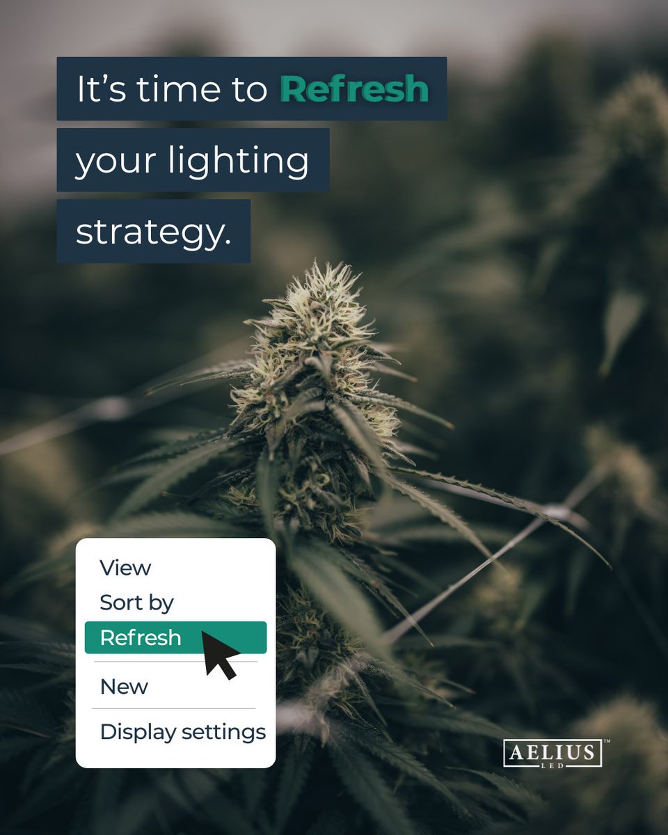 Aelius LED tweet media