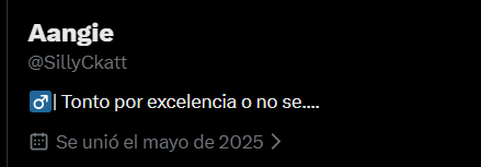 Aangiee tweet media