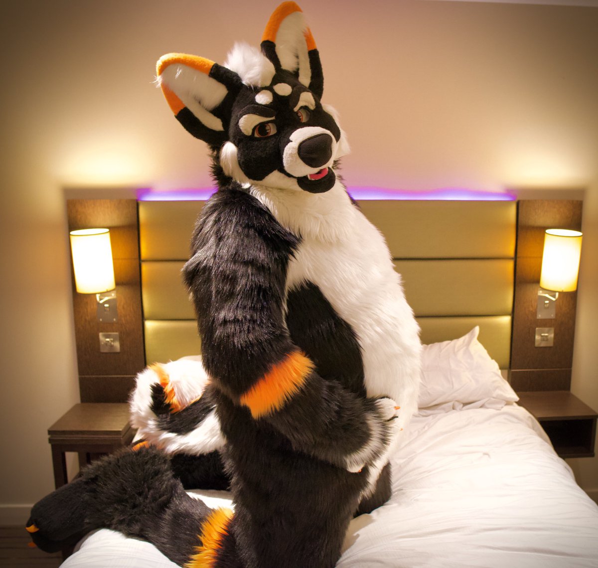 Flashback #TummyTuesday! 

(Sorry for being quiet and not posting much lately. It's been a very difficult and lonely/isolated start to the year, but many good things are coming soon! 

A big thank you 🙏 to those that are still here, you floofs really help 🧡)