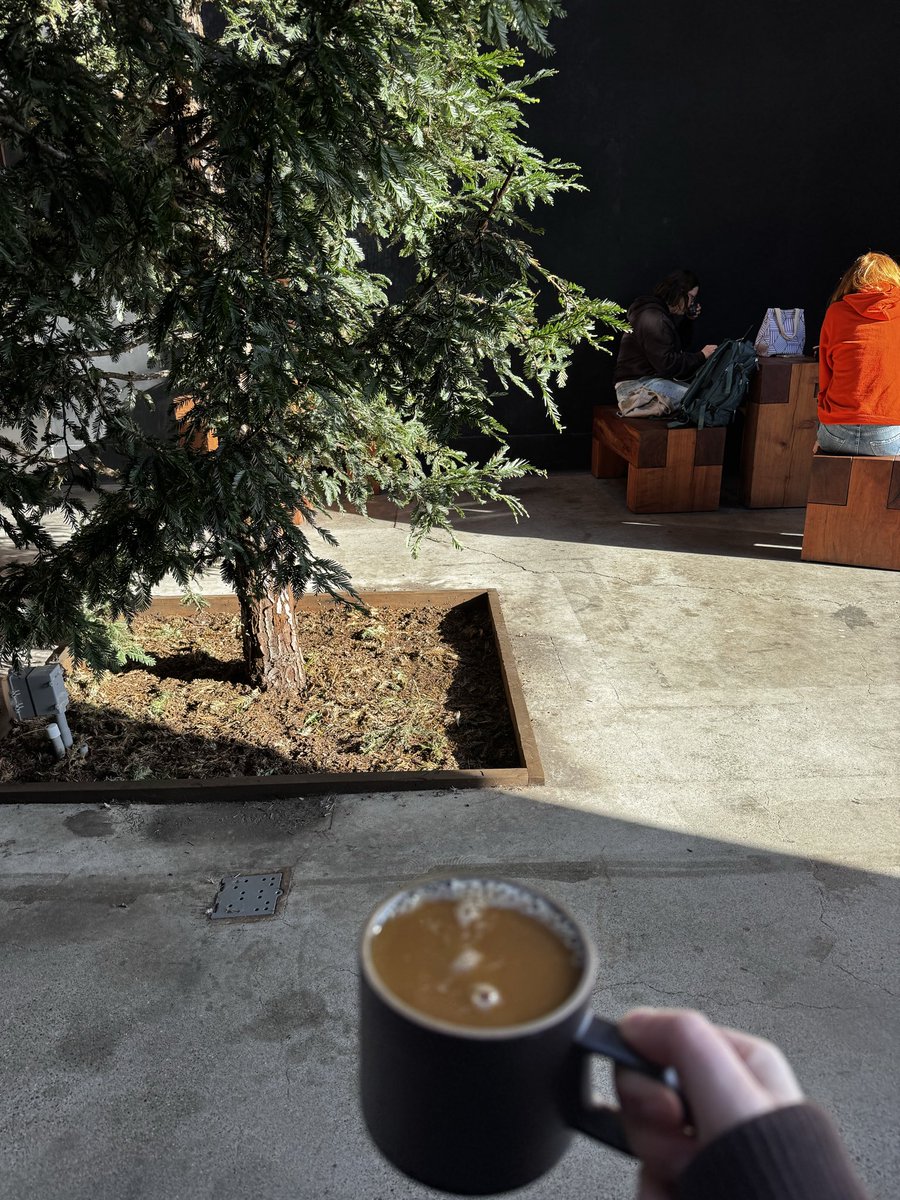 Nicole Ripka tweet media